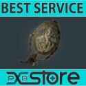 Path of Exile 2